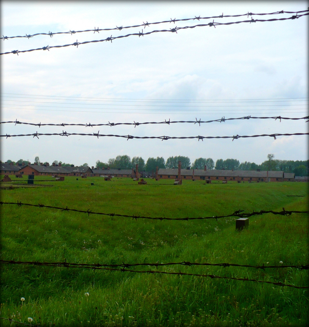 (mahnender) Donnerstag mit Durchblick