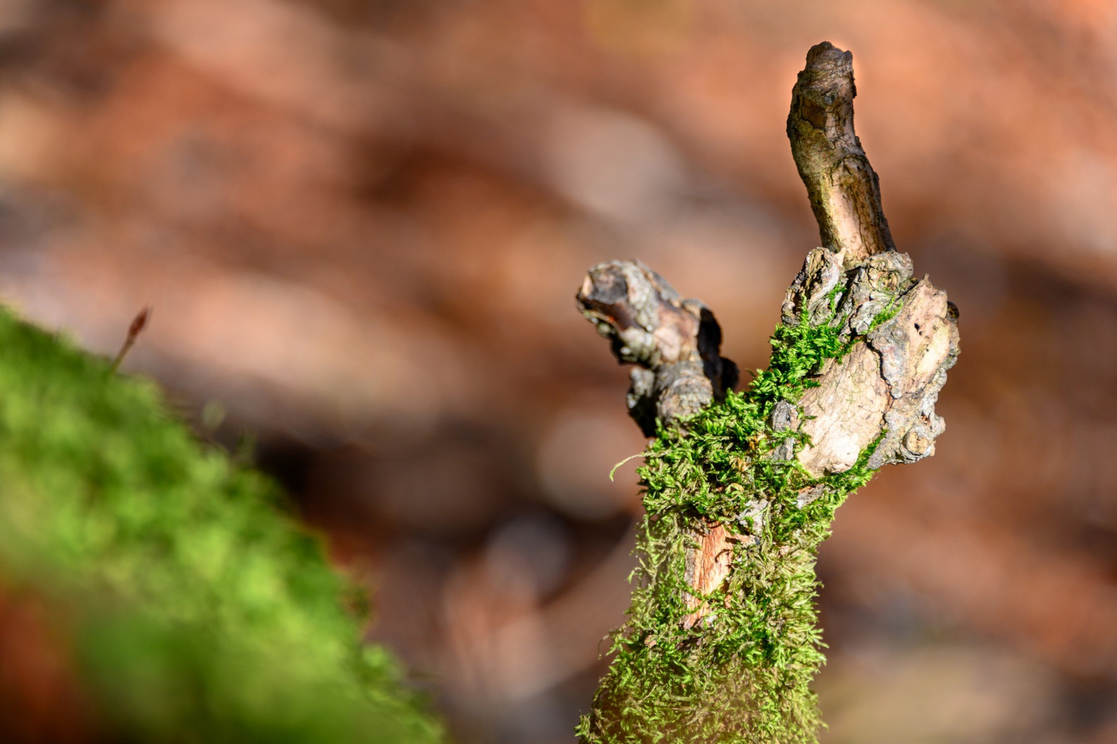 Mahnfinger der Natur