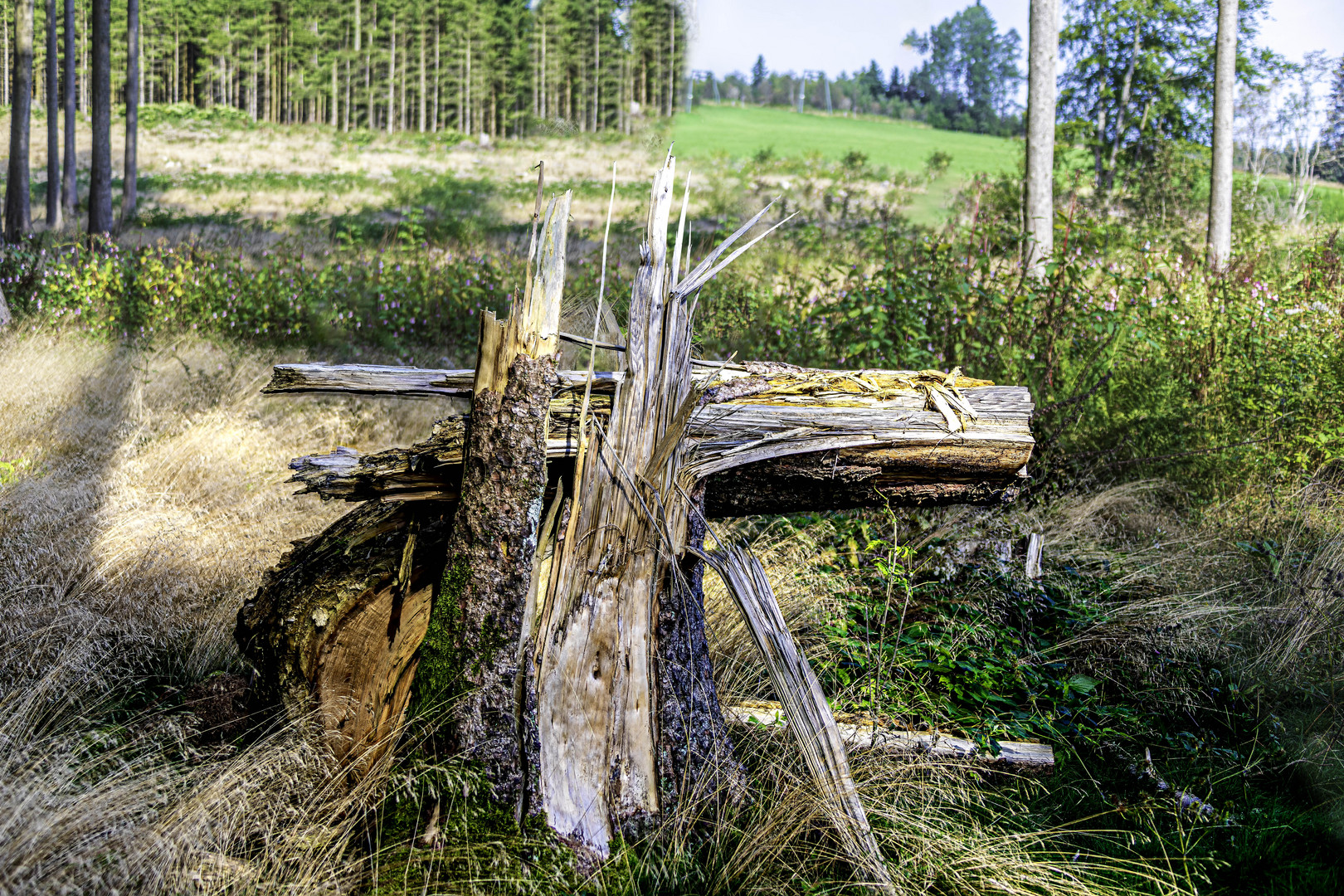 Mahnmal zerstörerischer Naturgewalten