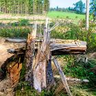 Mahnmal zerstörerischer Naturgewalten