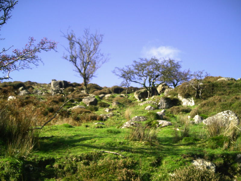 Mahon falls magic road co. Waterford