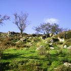 Mahon falls magic road co. Waterford