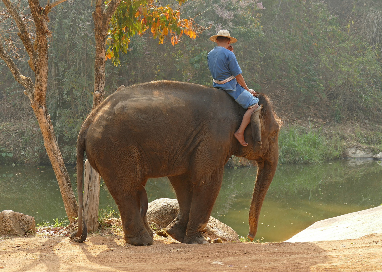 Mahout ....