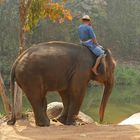 Mahout ....