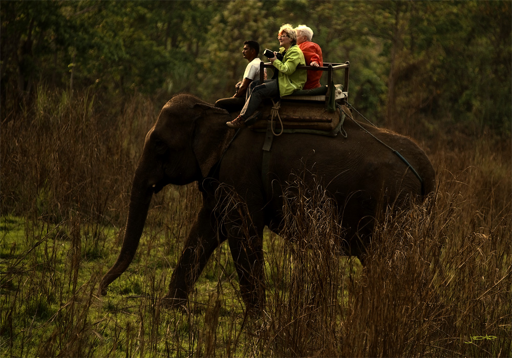 Mahout