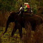 Mahout