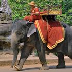 Mahout looking for tourist guests in Angkor Thom