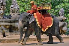 Mahout looking for tourist guests in Angkor Thom