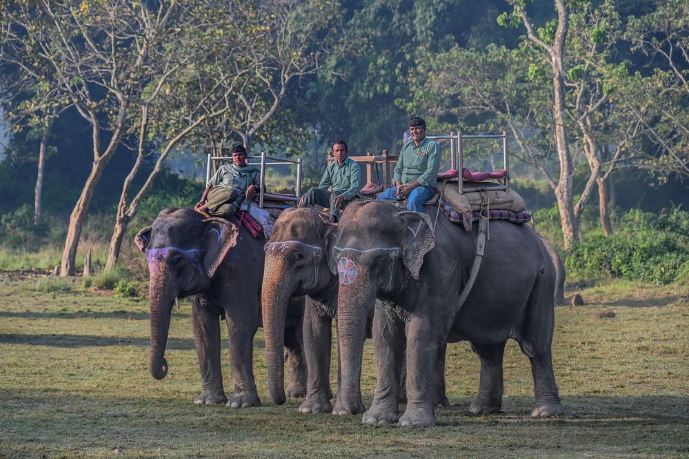 Mahouts in Chitwan