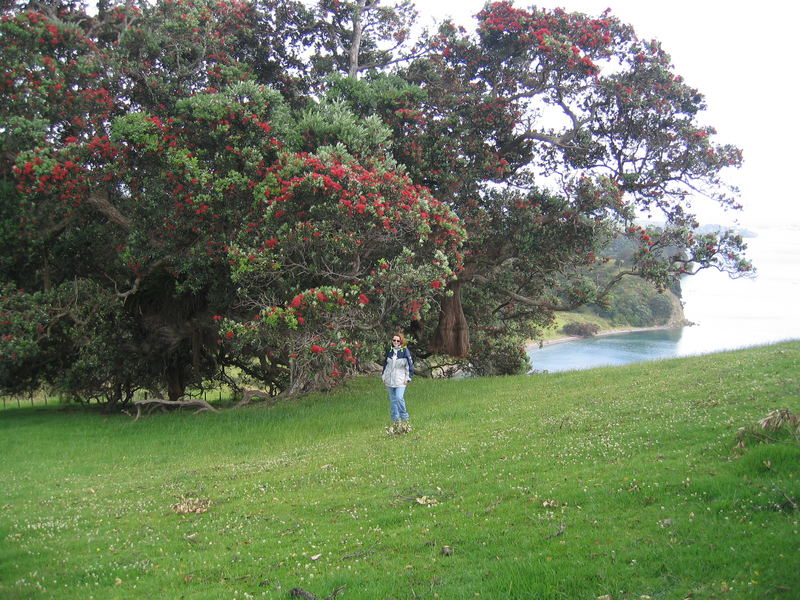 Mahurangi Regional Park