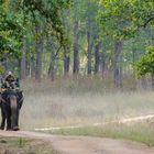 Mahut auf seinem Elefant im Kanha Nationalpark