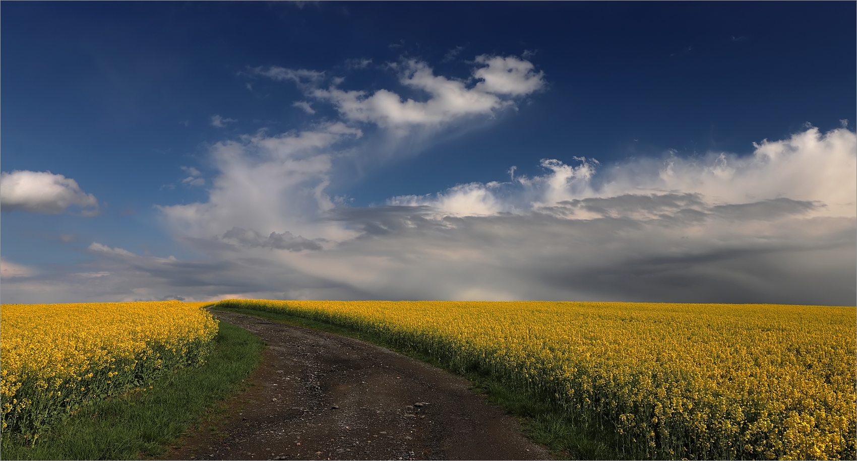Mai Foto & Bild | jahreszeiten, frühling, natur+wetter ...