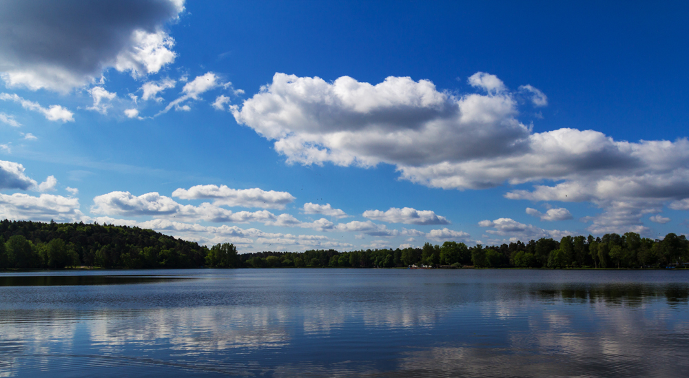 Mai am Weiher