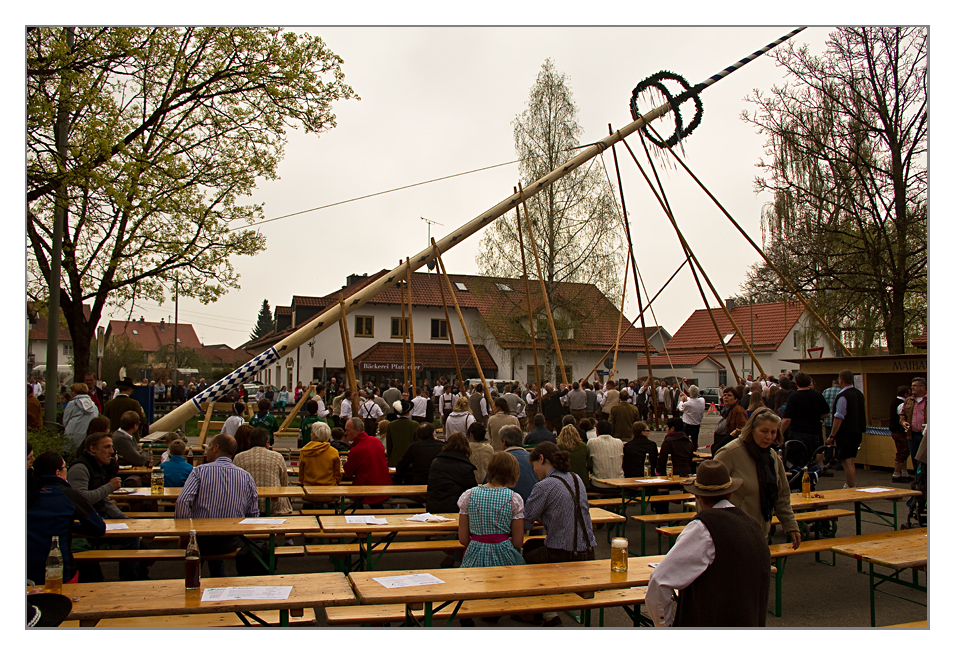 Mai Baum stellen mit purer Muskelkraft ... Burschenschaft Unterdießen ...