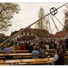 Mai Baum stellen mit purer Muskelkraft ... Burschenschaft Unterdießen ...