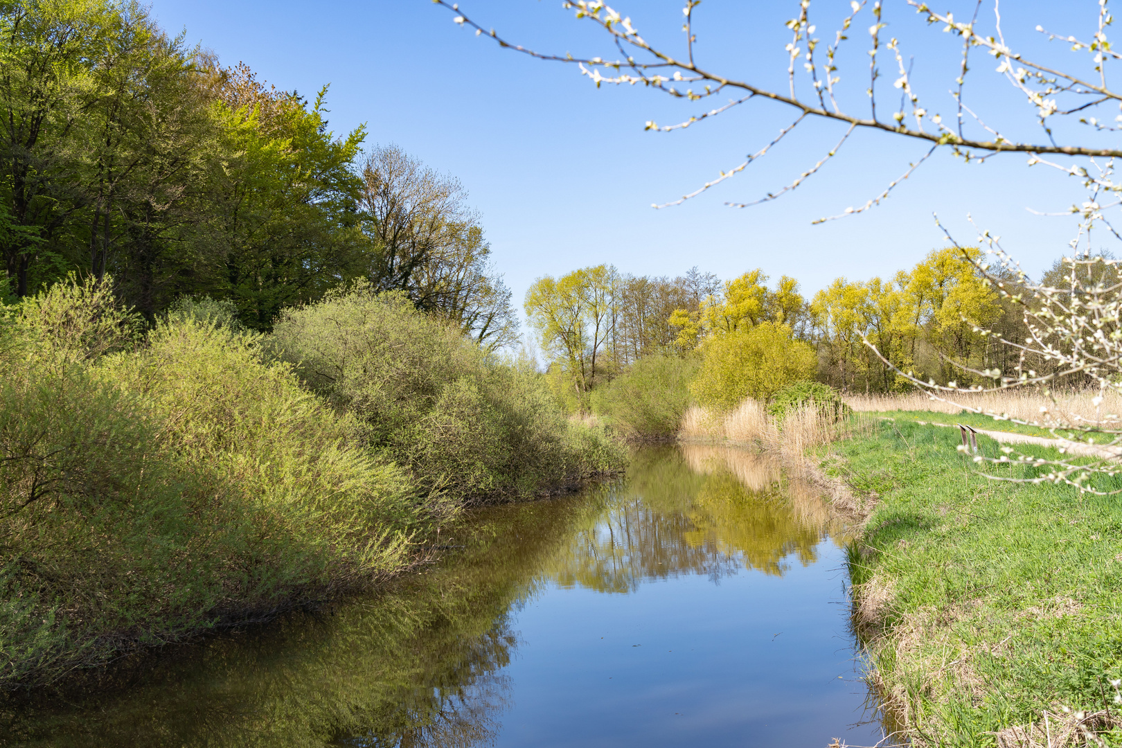 Mai - Blick in die Natur