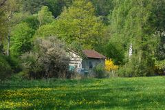 Mai " ein Garten"