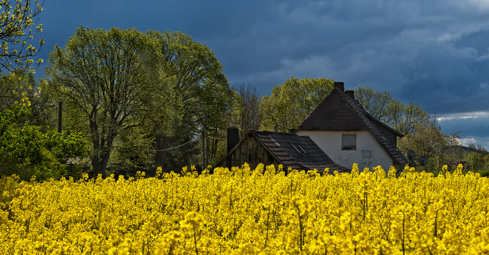 Mai Feiertag