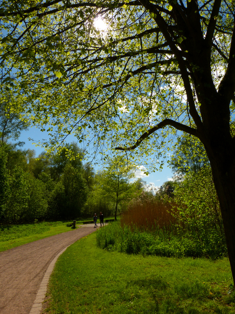 MAI-GRÜN im April