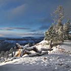 Mai im Bryce Canyon