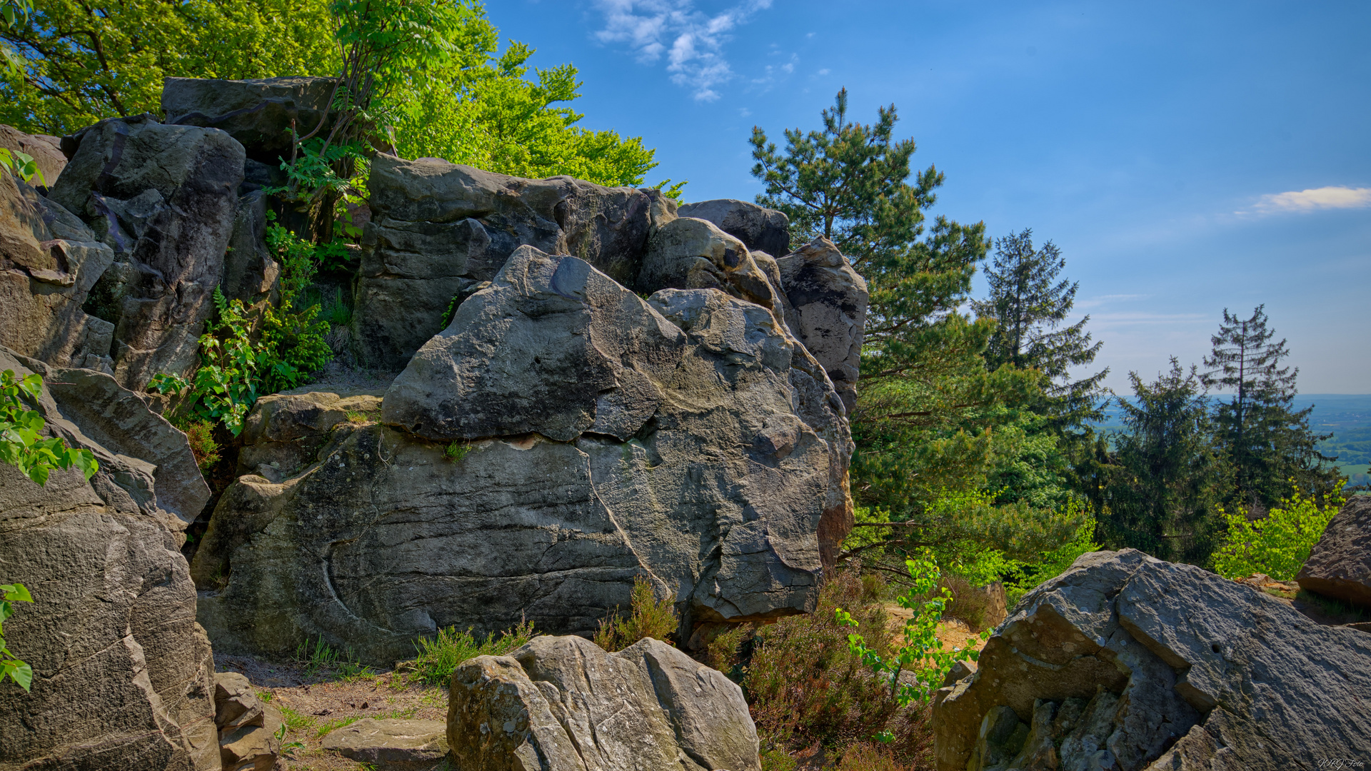 Mai im Eggegebirge