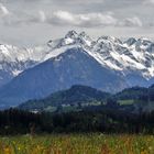 Mai im Oberen Allgäu