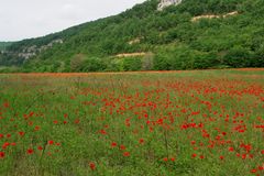 Mai im Quercy,