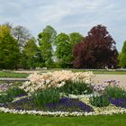 Mai im Schlosspark Pillnitz (2)