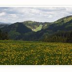 Mai im Schwarzwald