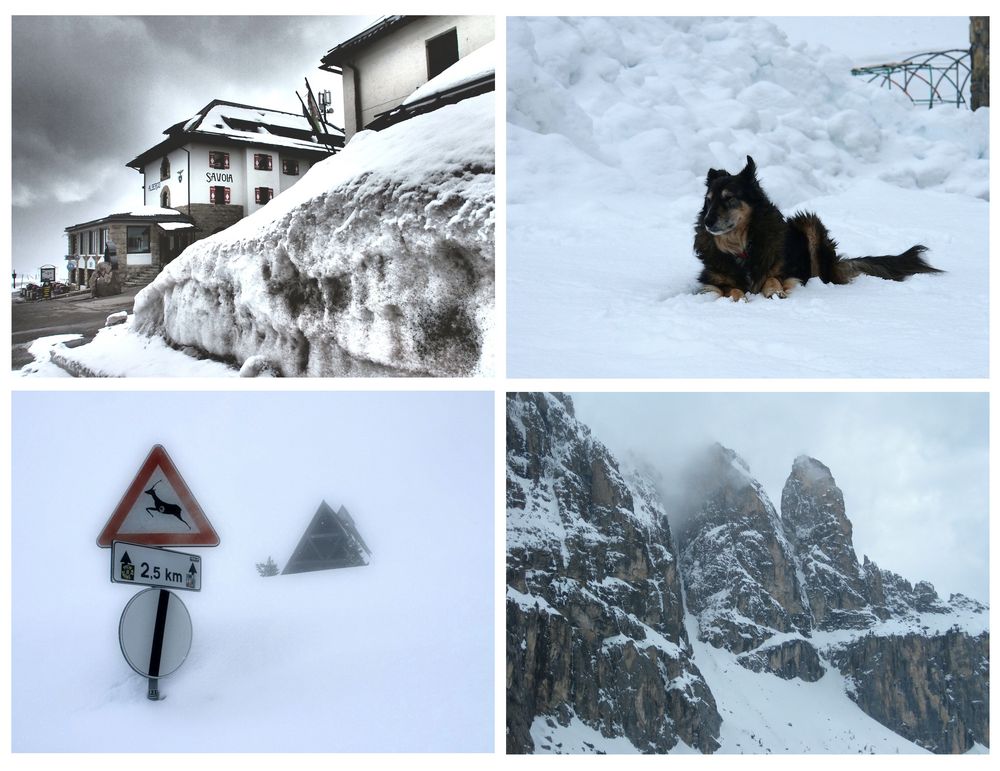 Mai in den Dolomiten