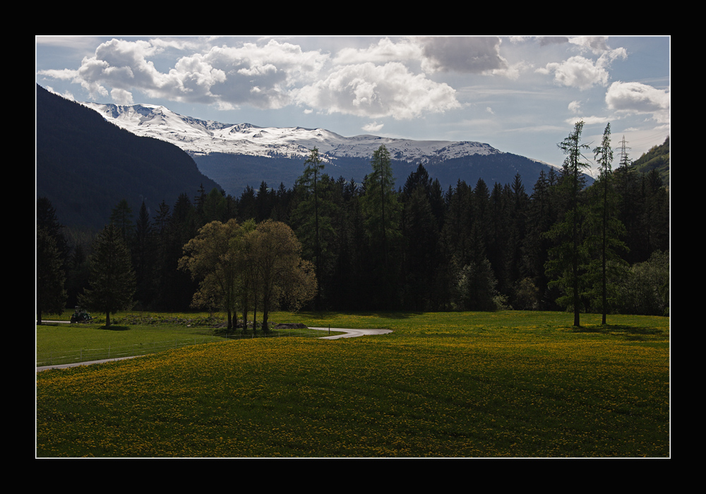 Mai in Filisur Graubünden