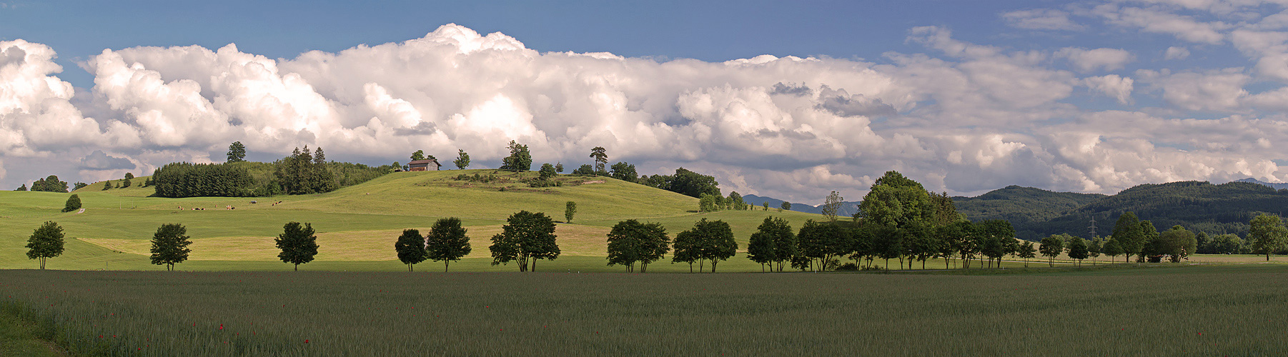 Mai - Landschaft