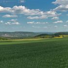 Mai-Landschaft [HDRI-Pano]