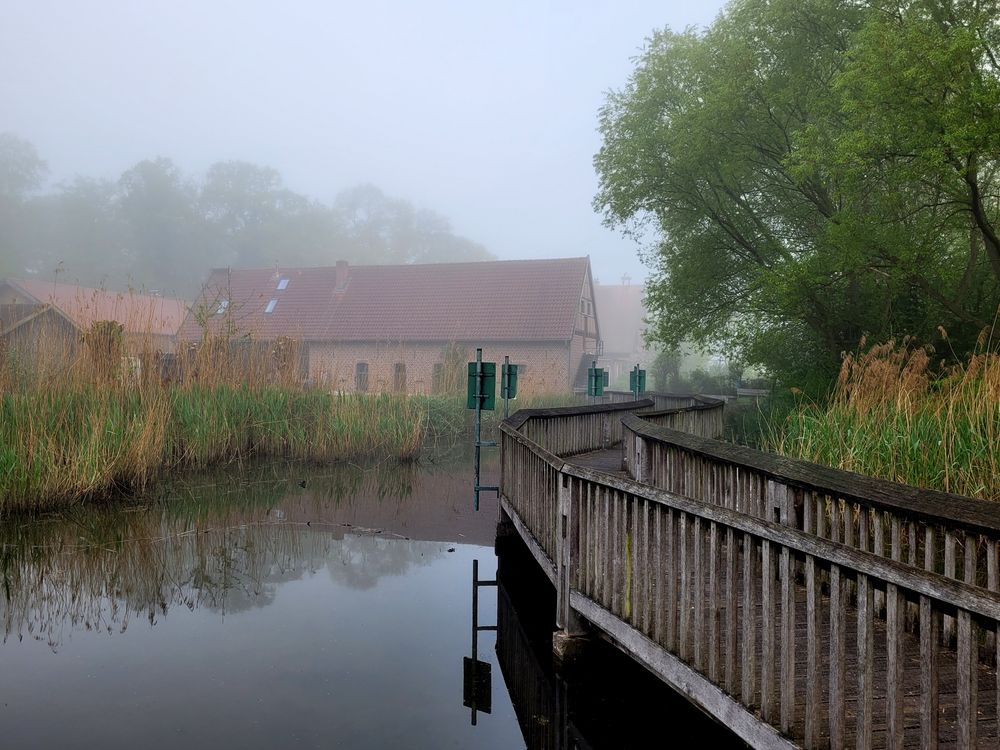 Mai Nebel