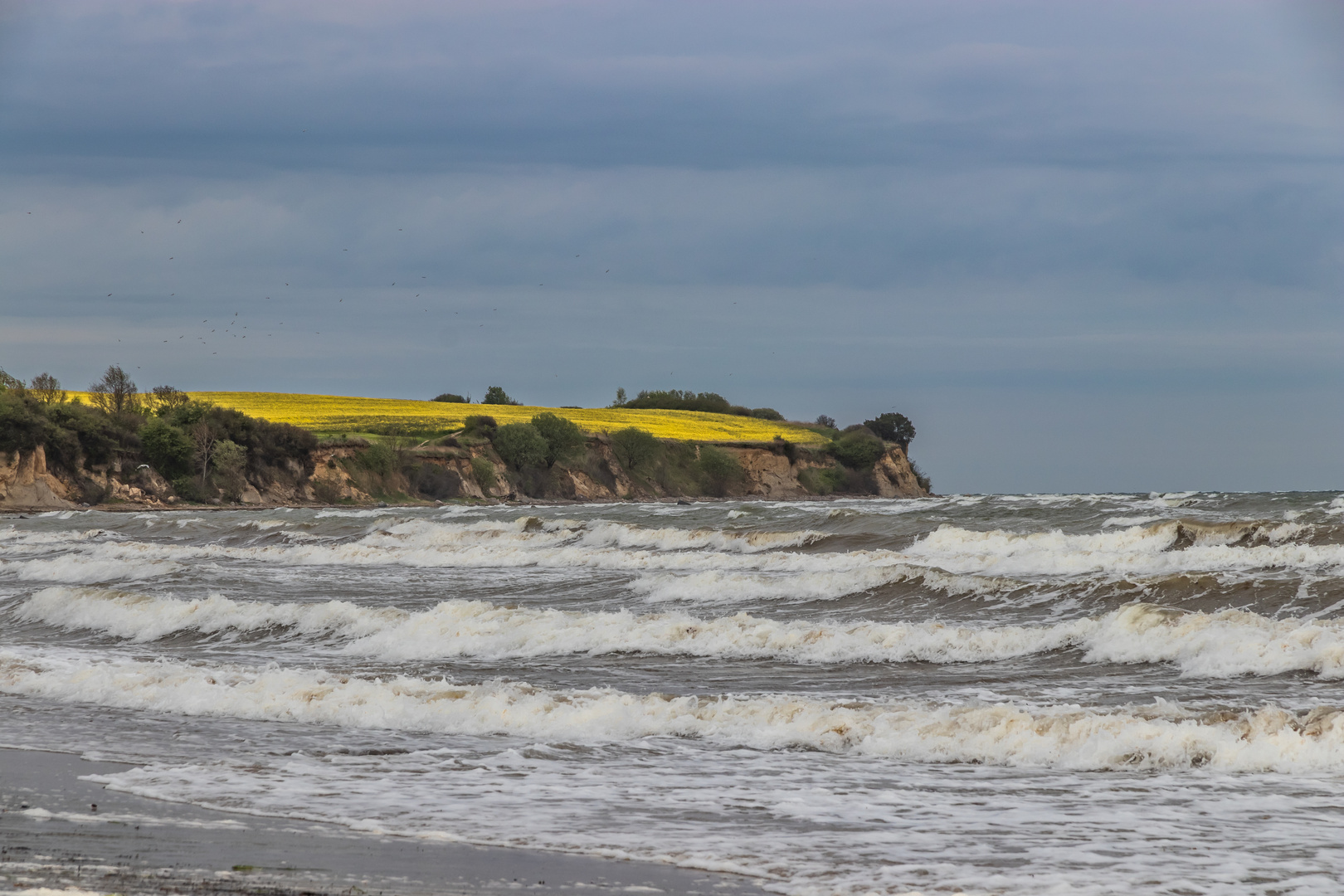 Mai-Sturm an der Ostsee,westlich von Boltenhagen