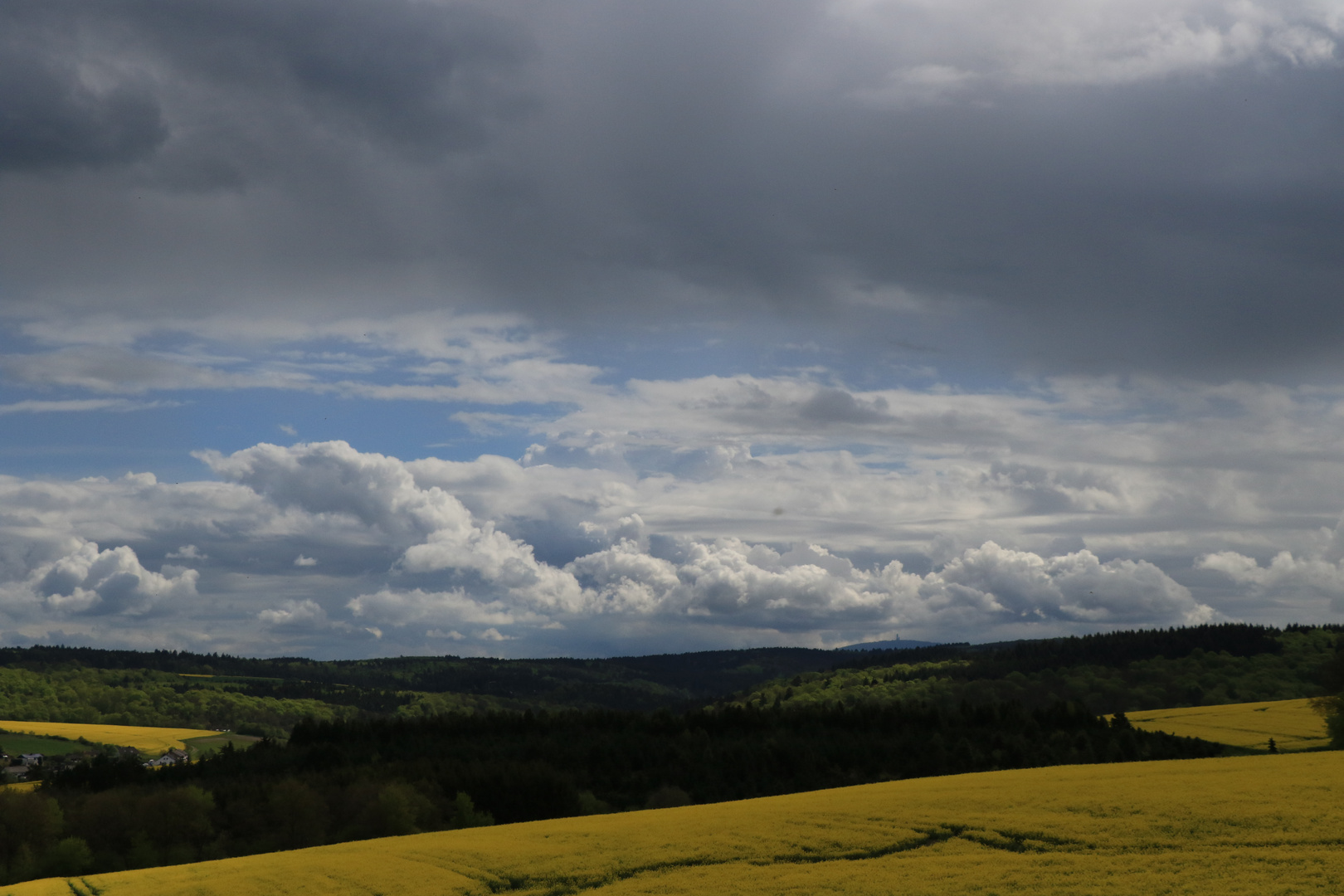 Mai-Taunusblick