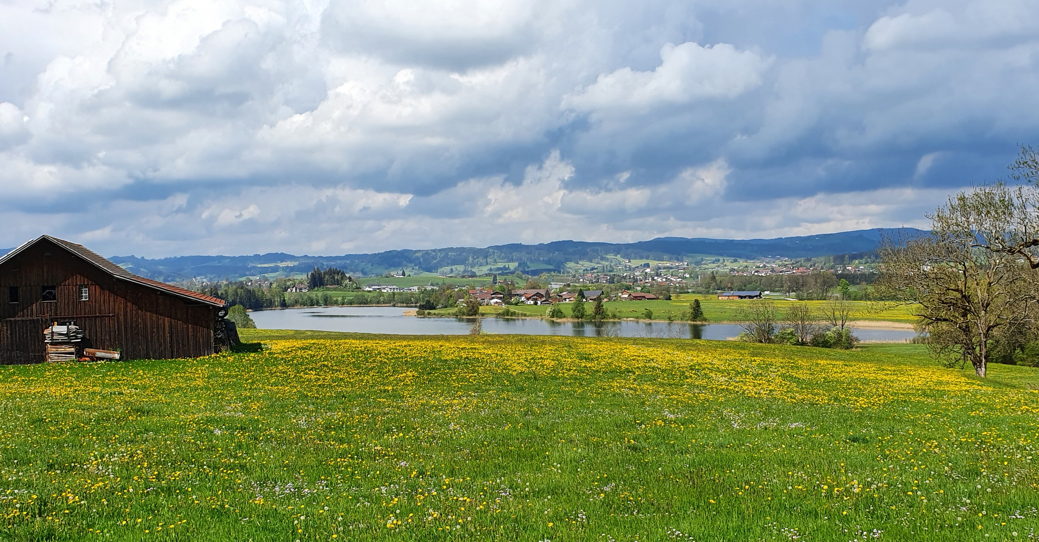 Mai überm Öschlesee