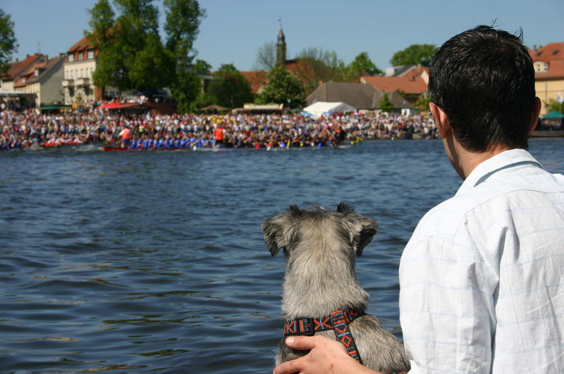 Mai und Hafenfest