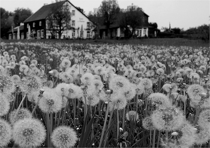 mai-wanderung