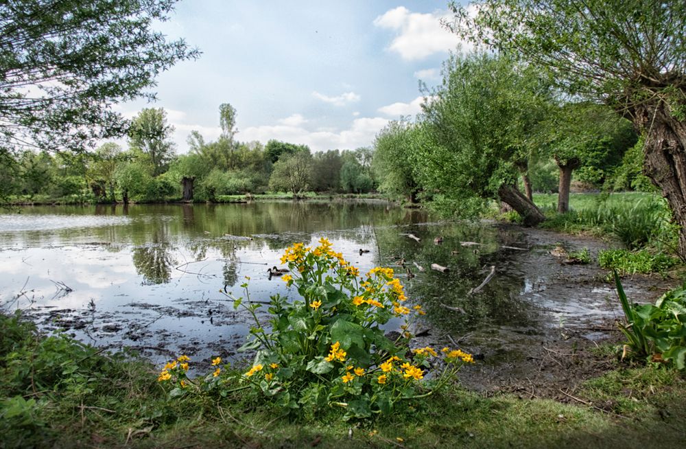 Mai-Weiher