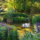 Maiabend am Gartenteich