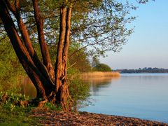 Maiabend am Wittensee