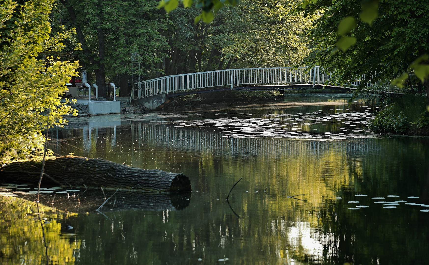 Maiabend an der Niers.....