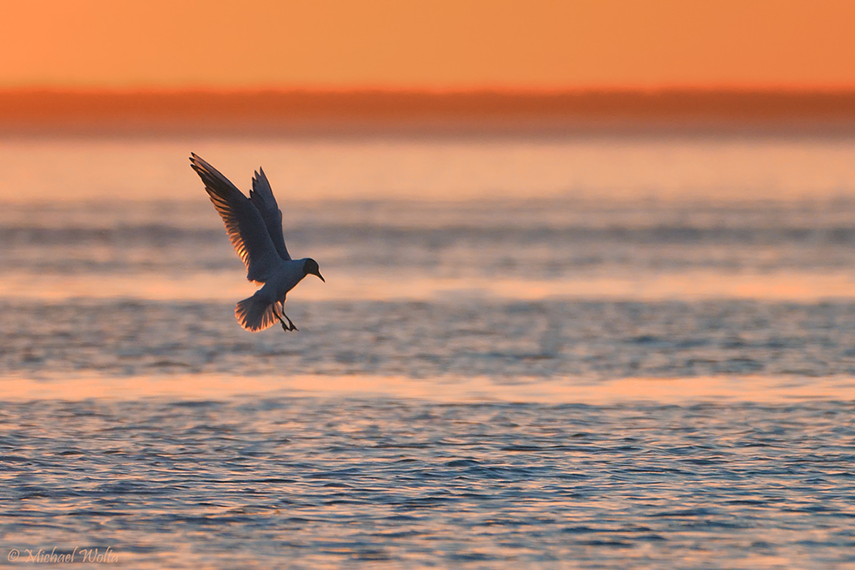 Maiabend an der Ostsee