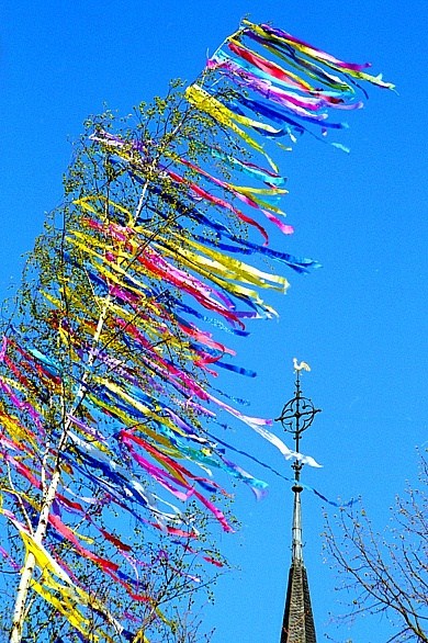 bild maibaum kostenlos