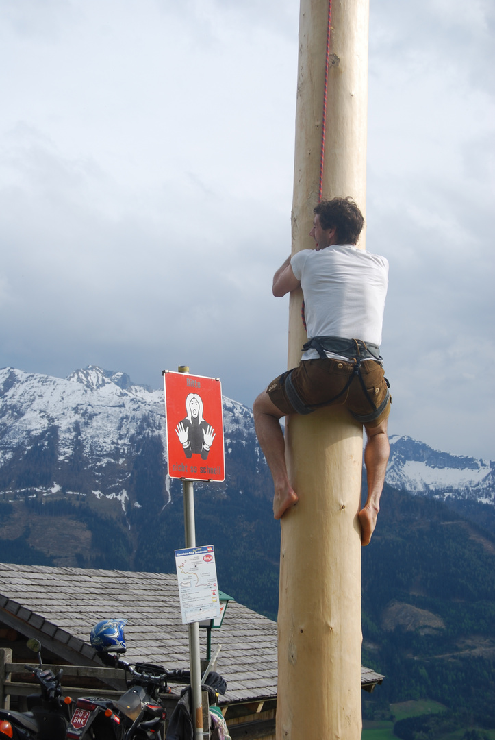 Maibaum