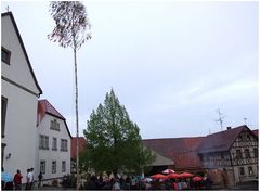 Maibaum (1) ...