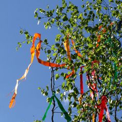 Maibaum