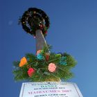 Maibaum 2007