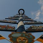 Maibaum 2011